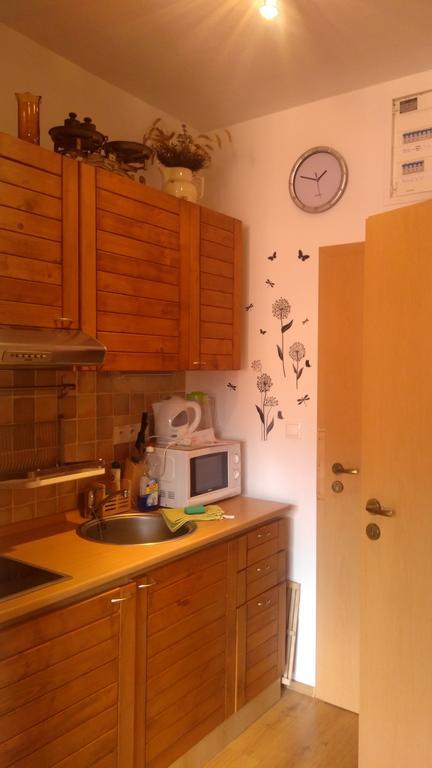 Fatrapark 1 U Sovicky Studio, Kuchynka, Kupelna,S Balkonom Gratis Parkovanie V Podzemnej Garazi Ruzomberok Extérieur photo