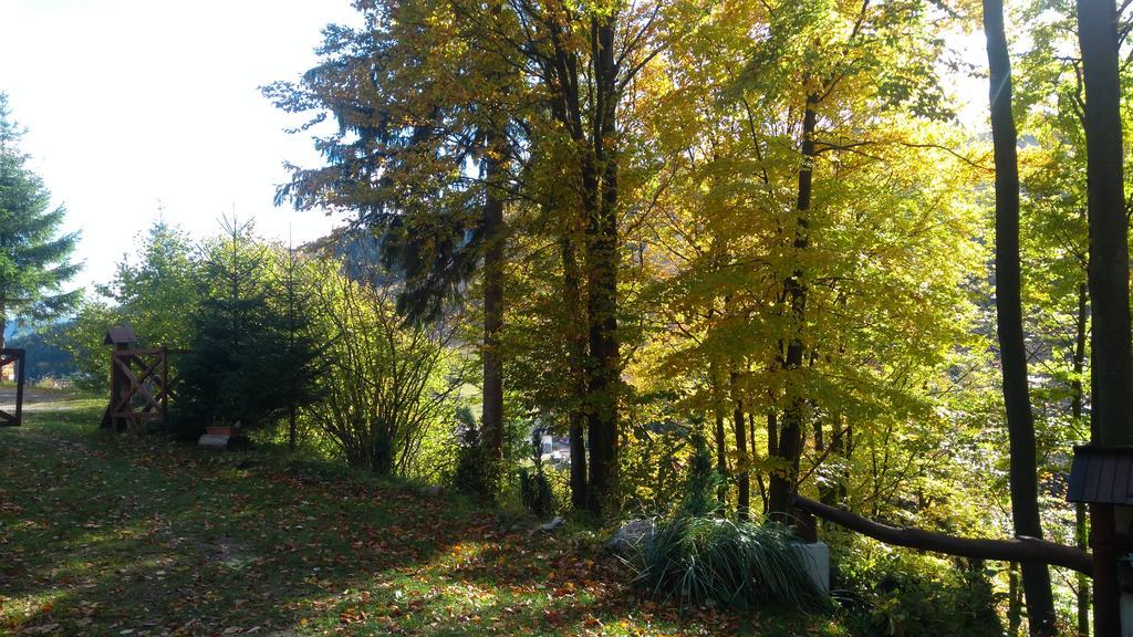 Fatrapark 1 U Sovicky Studio, Kuchynka, Kupelna,S Balkonom Gratis Parkovanie V Podzemnej Garazi Ruzomberok Extérieur photo